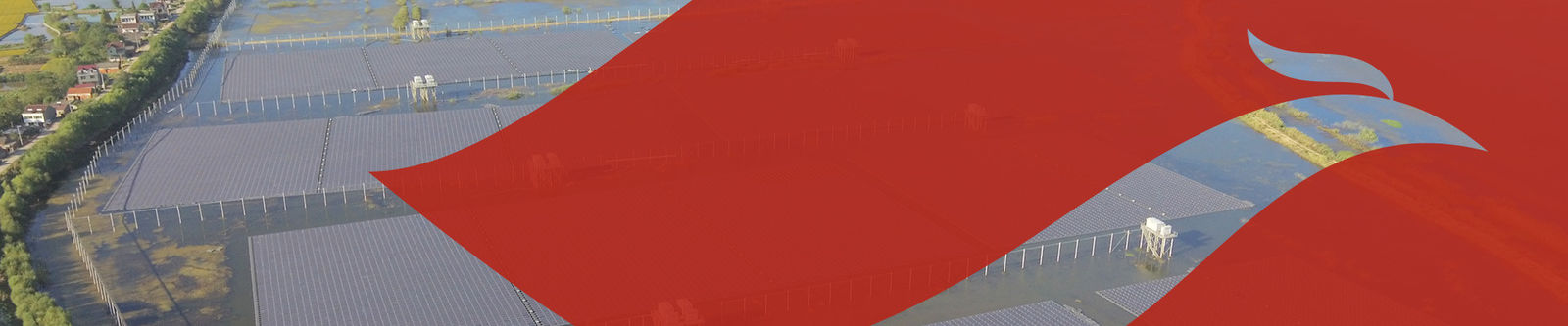 Κίνα Jiangsu X-solar Green Building Technology Co., Ltd. Σχεδιάγραμμα επιχείρησης 