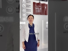 Ευέλικτα φωτοβολταϊκά πάνελ